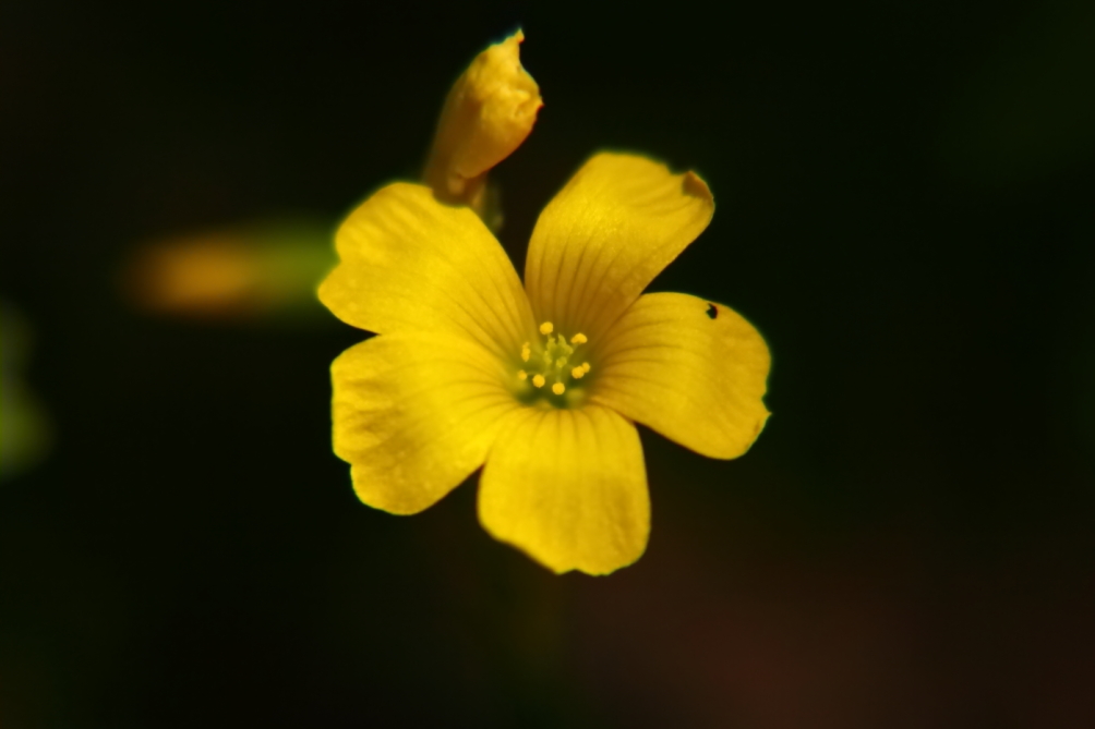 2012 05 12 2437